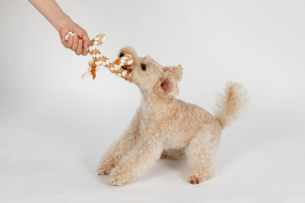 Elassy Natural Dog  Toy – Hide & Hemp 🐶🌿Plastic-Free, Durable, and Perfect for Interactive Play!