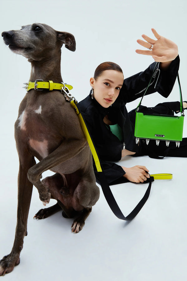 MMCHOKK Fashion Accessories – Studs Dog Collar  Designed in Italy • Precision German Components • Sustainably Crafted